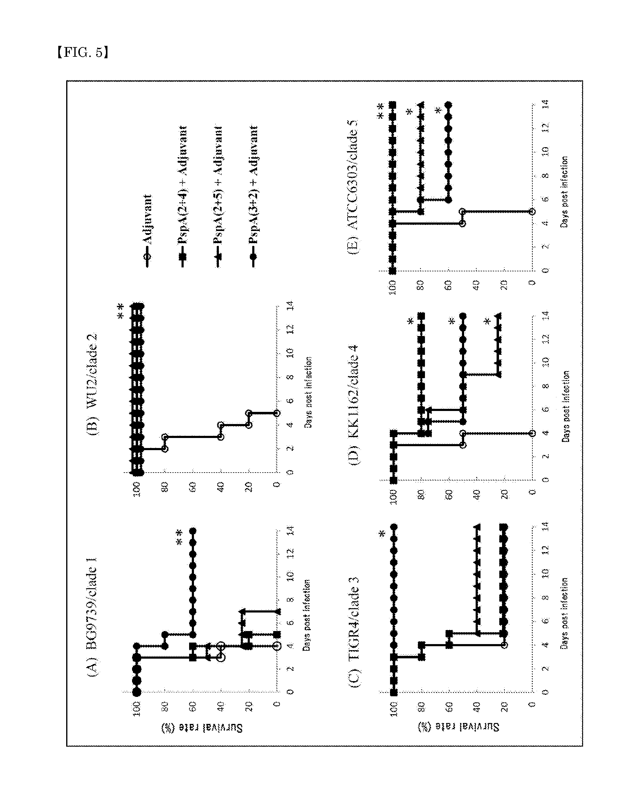 Pneumococcal vaccine containing pneumococcal surface protein a
