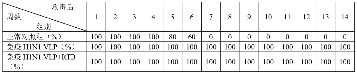 Recombinant ricin B-chain truncated protein and its expression method and application