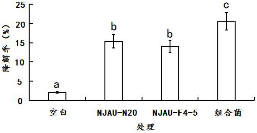 Wood fiber degradation complex microbial inoculant of mixture of livestock and poultry manure and straw and application thereof