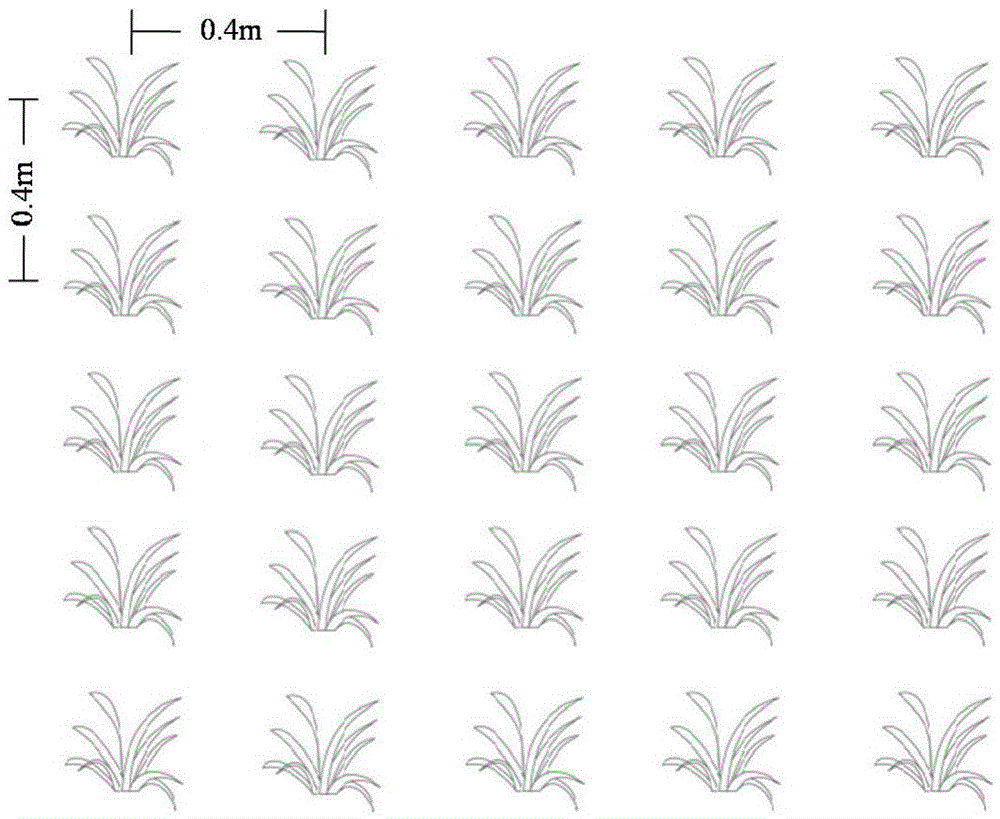 A Pedigree Selection Method for Wheat Breeding Improvement