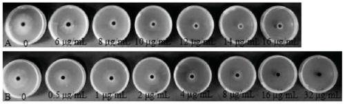 Metiram compound bactericide and application thereof