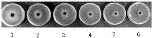 Metiram compound bactericide and application thereof