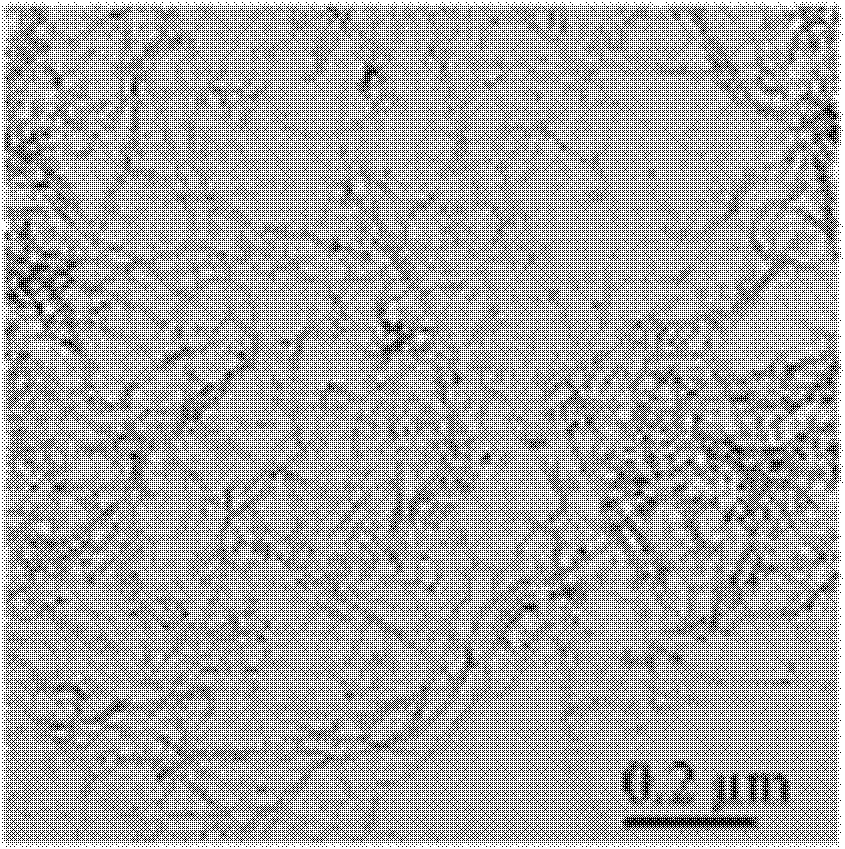 Synthesis of zinc-benzoic-acid-modified single-wall carbon nano tube porous material and use thereof in gas storage