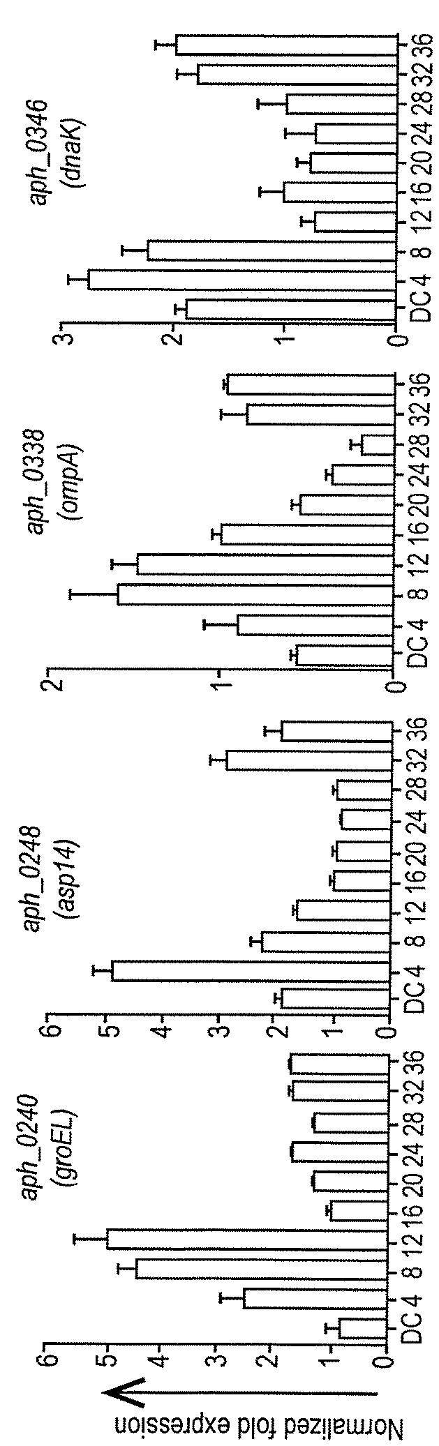 Ompa in vaccine compositions and as diagnostic targets