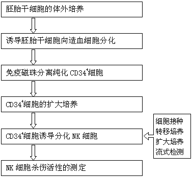 In vitro preparation method of NK cells