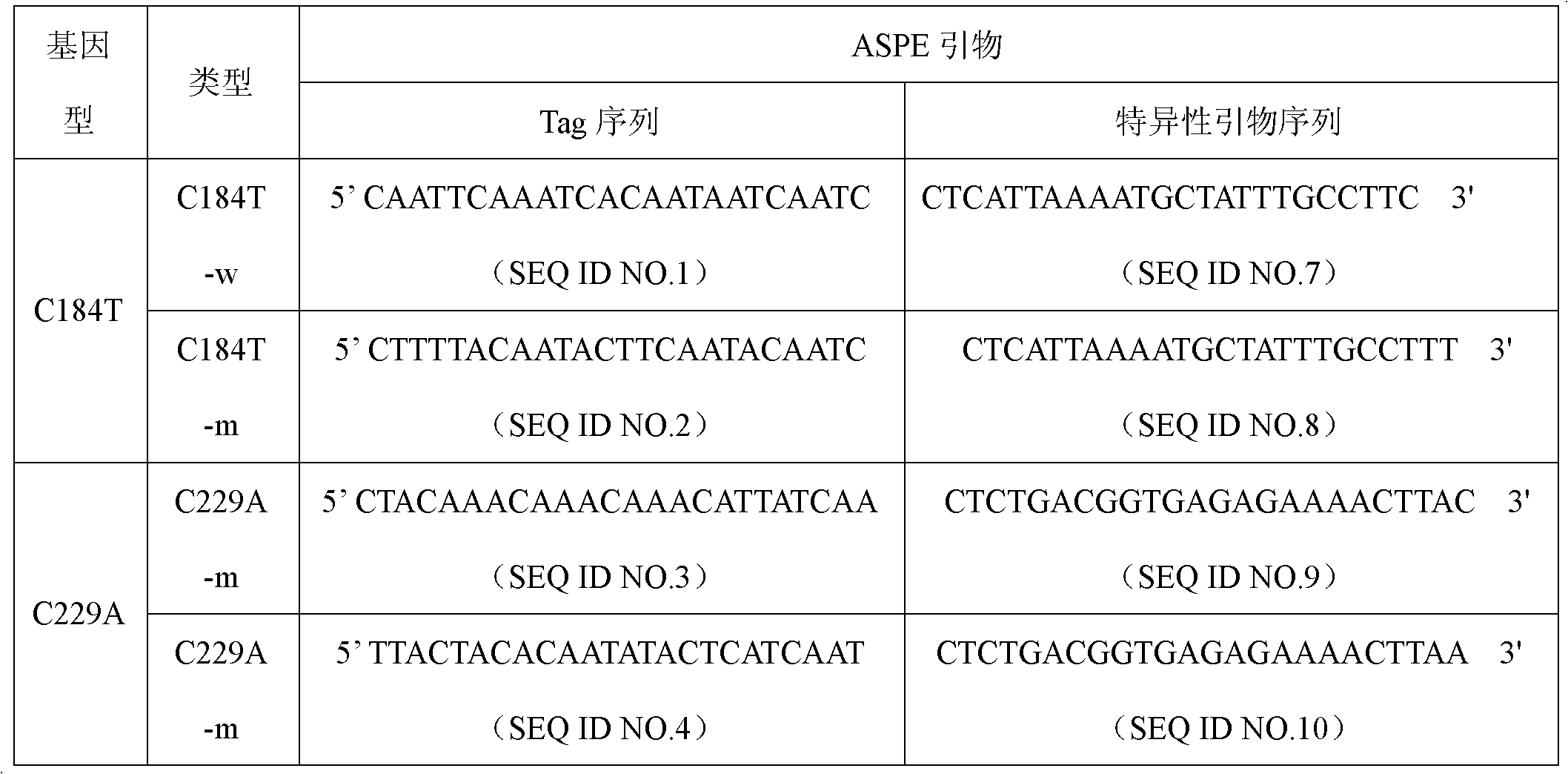 ABCG2 gene polymorphism detection specific primer and liquid phase chip