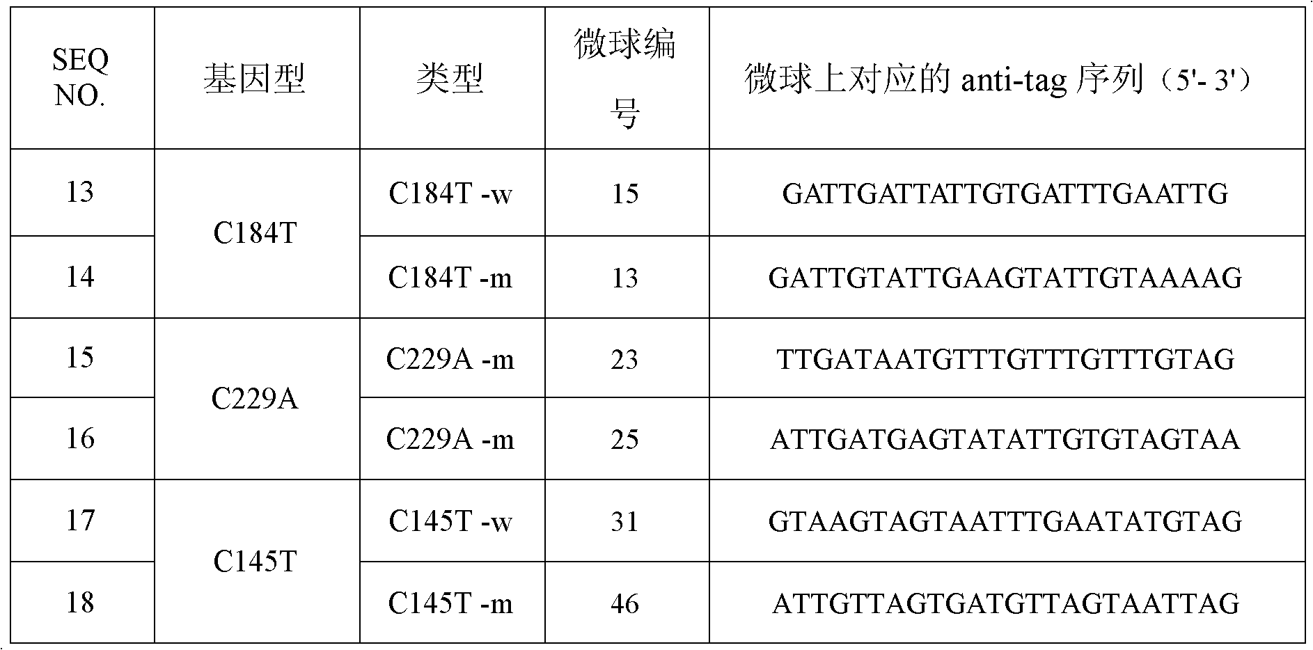 ABCG2 gene polymorphism detection specific primer and liquid phase chip