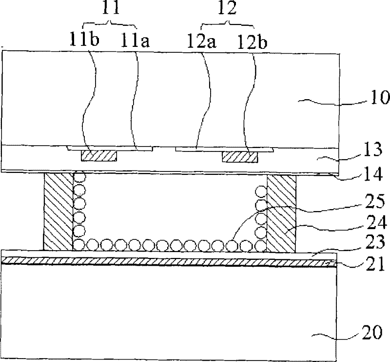 Plasma Display Panel