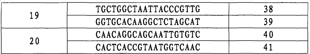 Molecular marker SIsv0204 closely linked with herbicide-resistant gene of millet