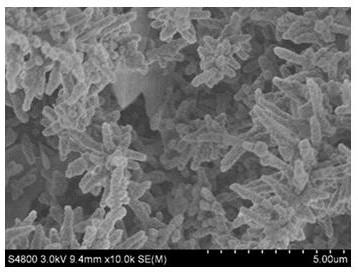 V-doped Ni3S2/NF electrode material with short rods self-assembled into dendritic shape and preparation method thereof