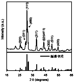 Preparation method of urchin-like tin selenide