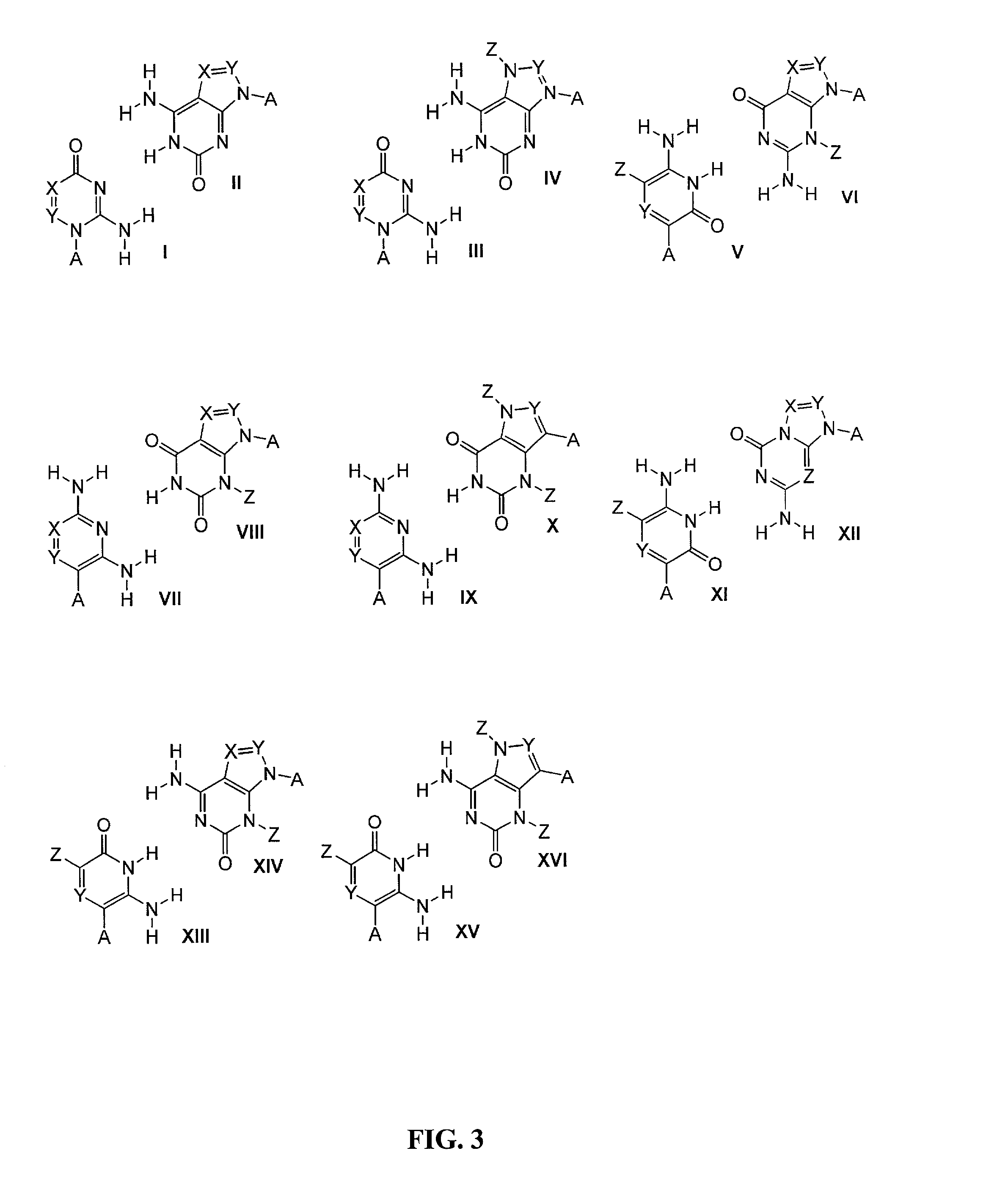 Materials and methods for detection of nucleic acids