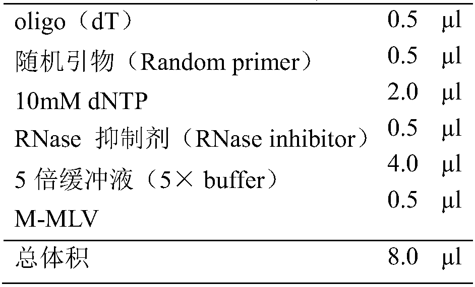 Suspension culture method of adherent cells and application thereof