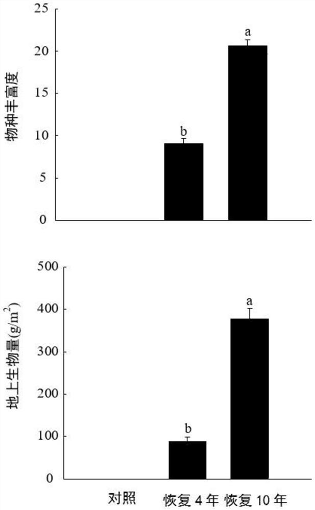 Method for recovering desertified grassland in grazing ecosystem