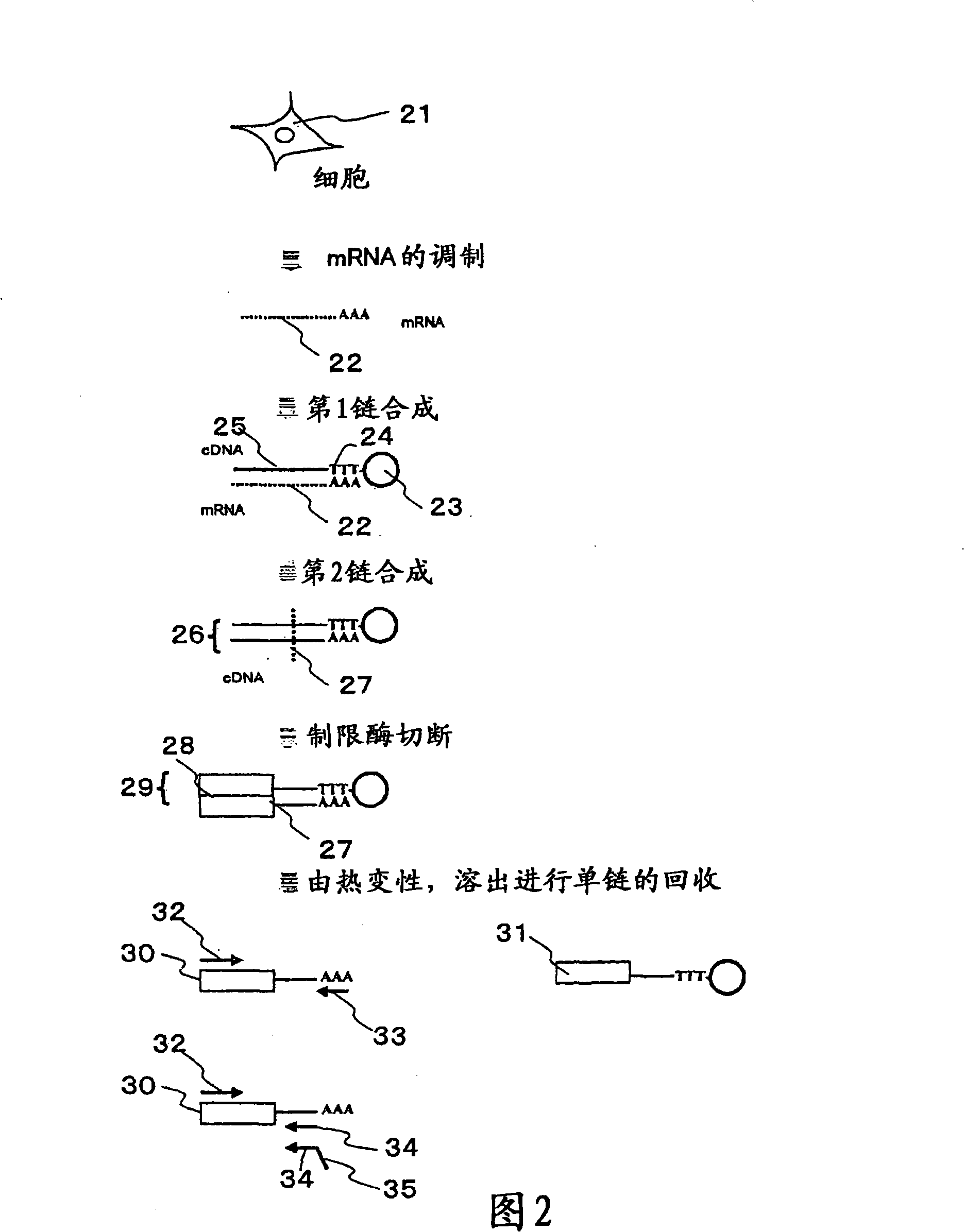 Method and apparatus for sample preparation
