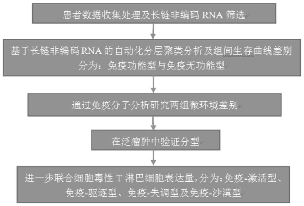 Tumor immune typing method based on lncRNA markers