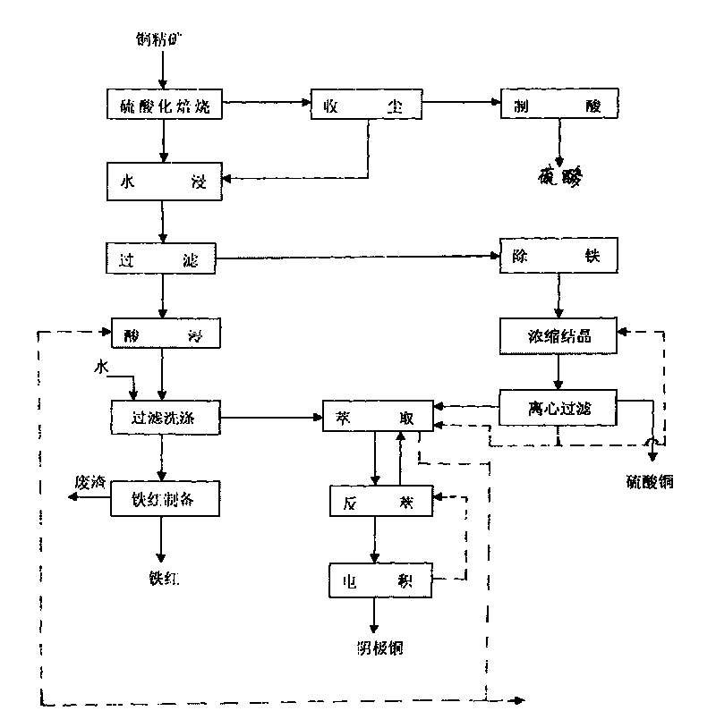 Method for directly preparing copper sulfate and cathode copper from copper ore concentrate