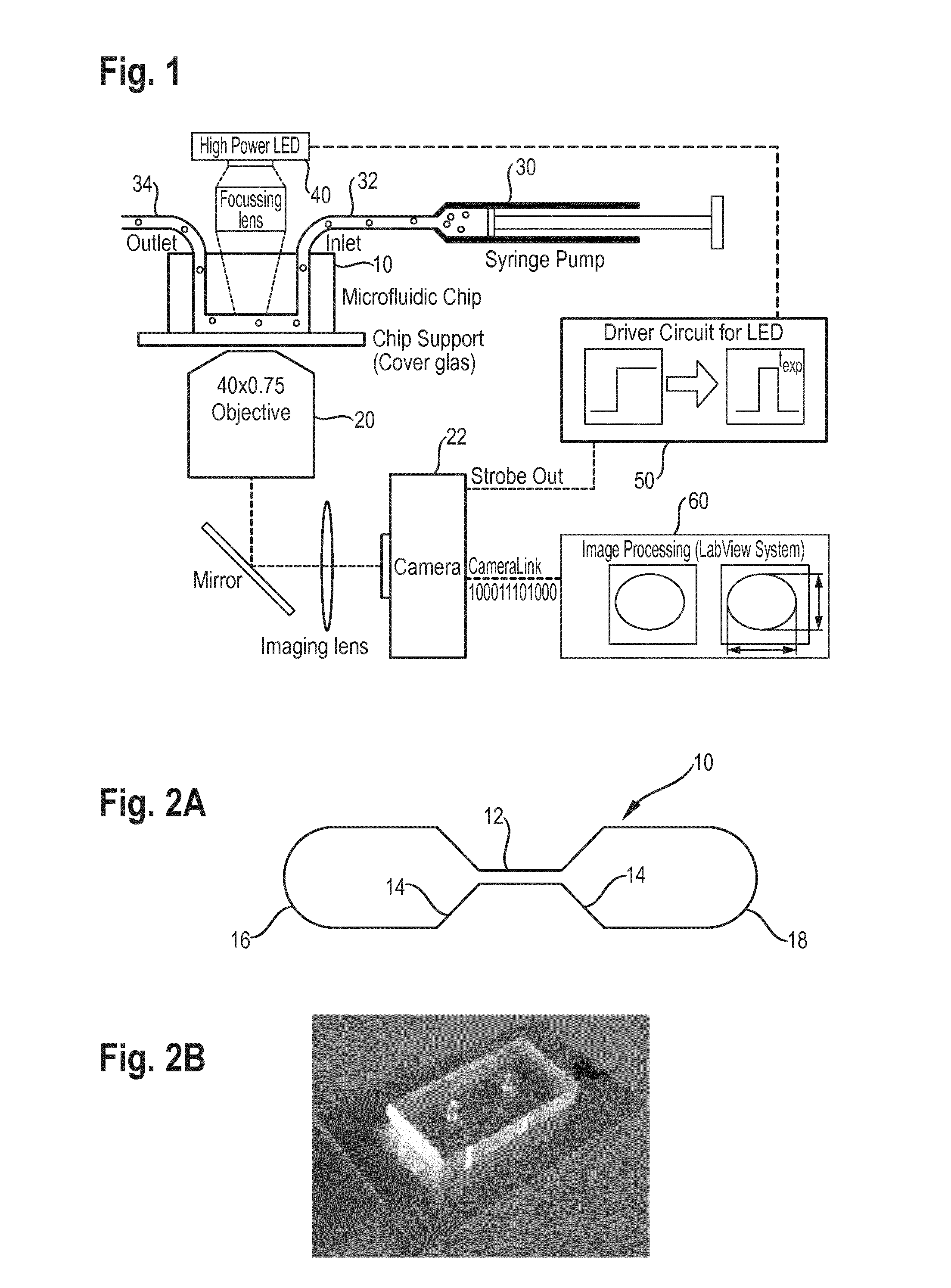 Apparatus and method for determining the mechanical properties of cells