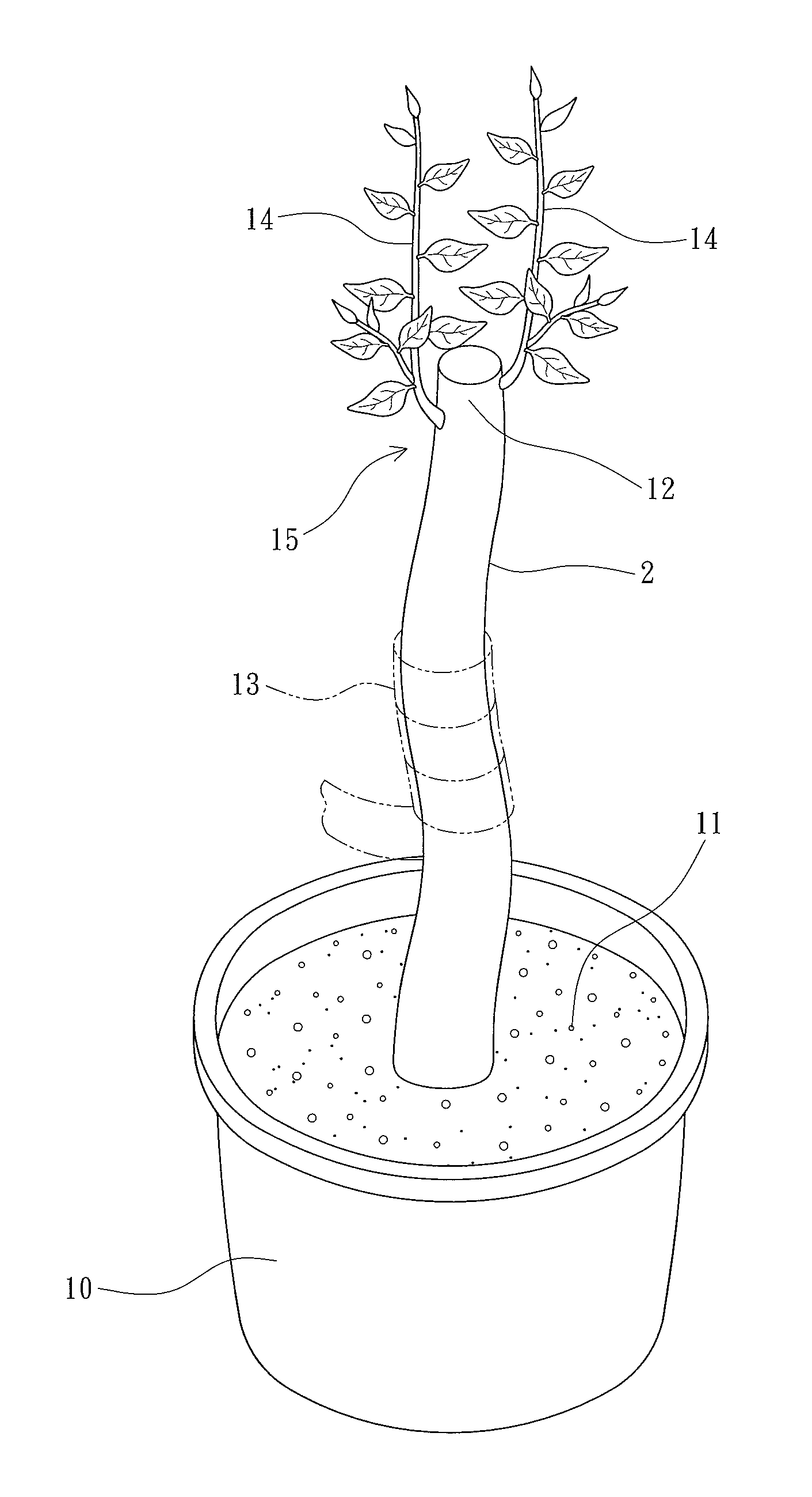Methods for Rapidly Growing A Tree