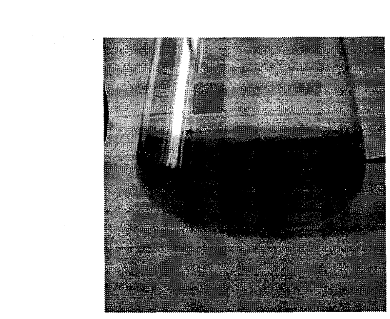 Special culture medium for strict anaerobe detection of beer