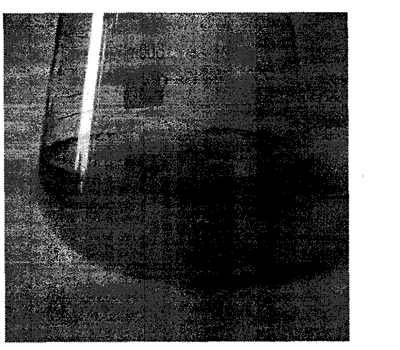 Special culture medium for strict anaerobe detection of beer