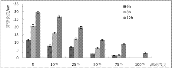 A Pseudomonas maltophilia strain qba-5 with inhibitory effect on Botrytis cinerea and its application