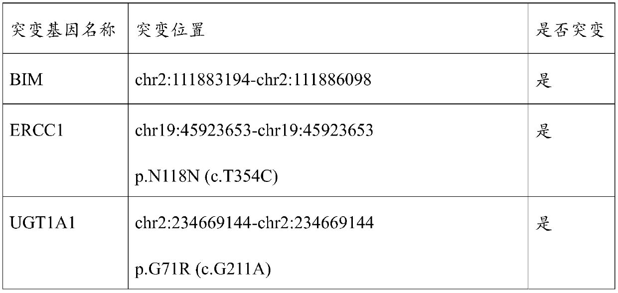 Molecular markers for detecting lung metastasis of minimal osteosarcoma and application thereof