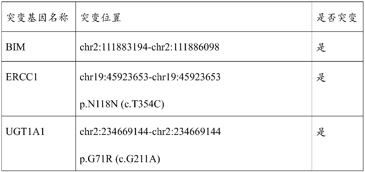 Molecular markers for detecting lung metastasis of minimal osteosarcoma and application thereof