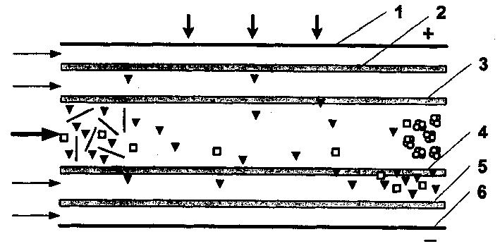 Protein re-folding device under electric field