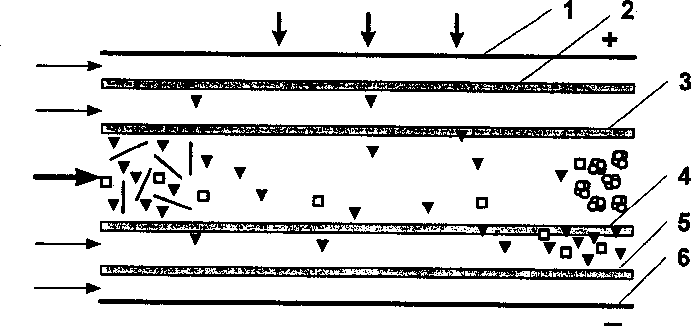 Protein re-folding device under electric field