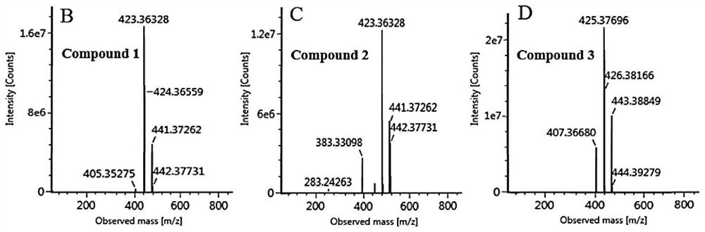 Method for heterologous production of linear triterpenes