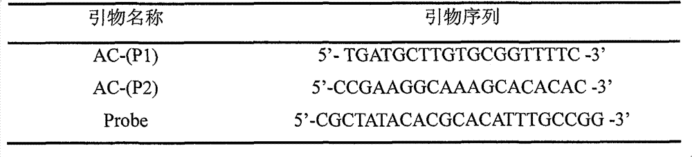 TaqMan probe real-time fluorescence PCR (Polymerase Chain Reaction) detection of angiostrongylus cantonensis infected snails