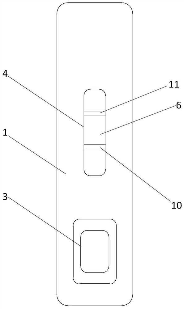 Gold-labeled rapid detection card for detecting CGMMV and preparation method thereof