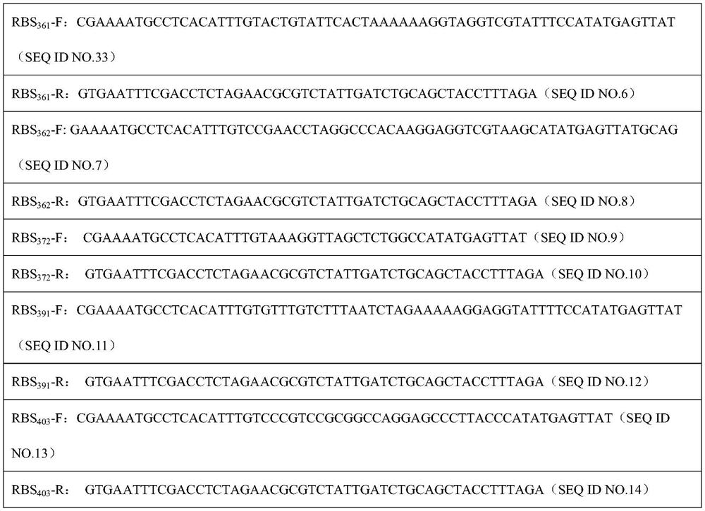 Method for improving expression quantity of gamma-glutamine transpeptidase through RBS optimization