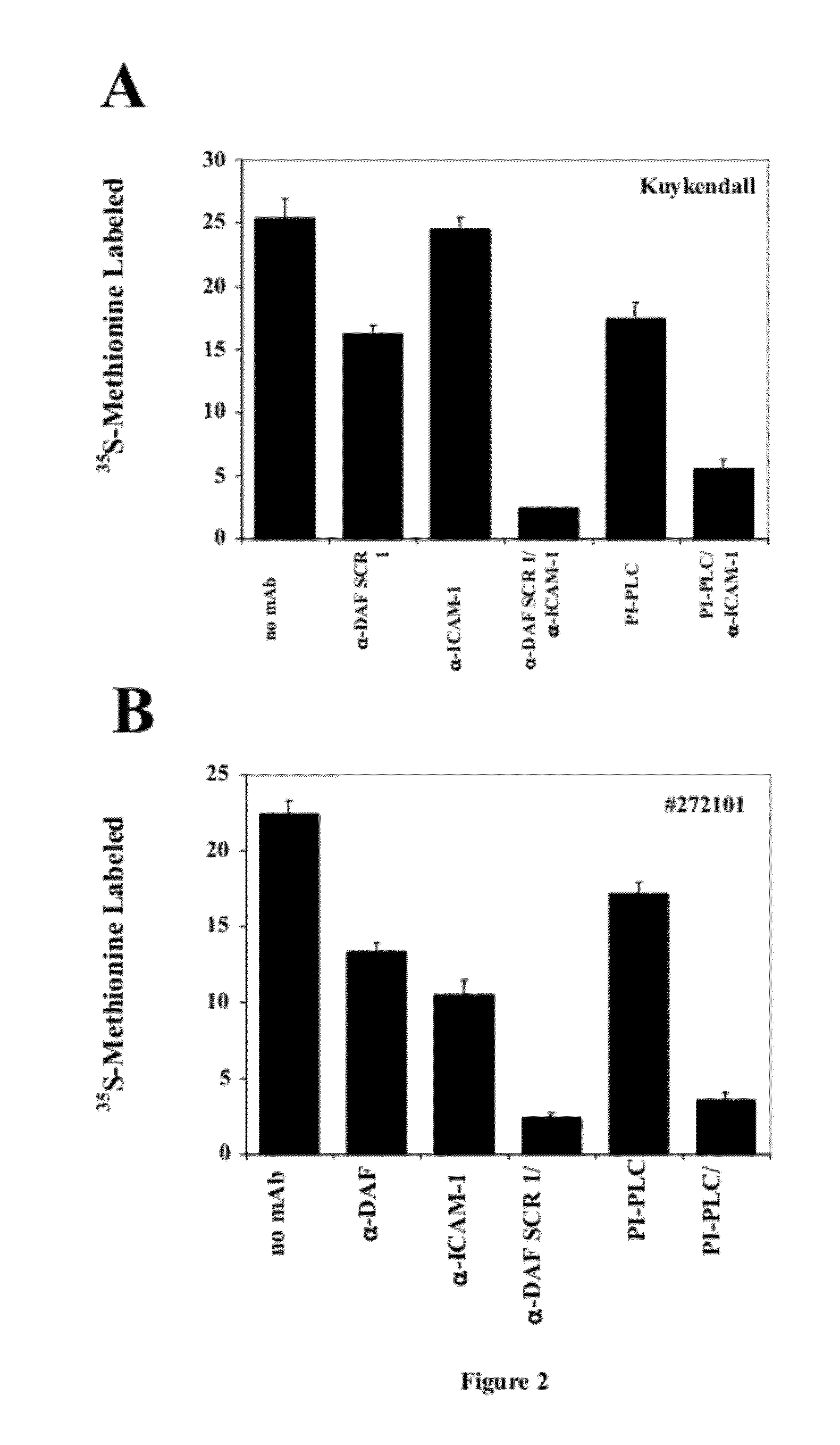 Modified Oncolytic Viruses