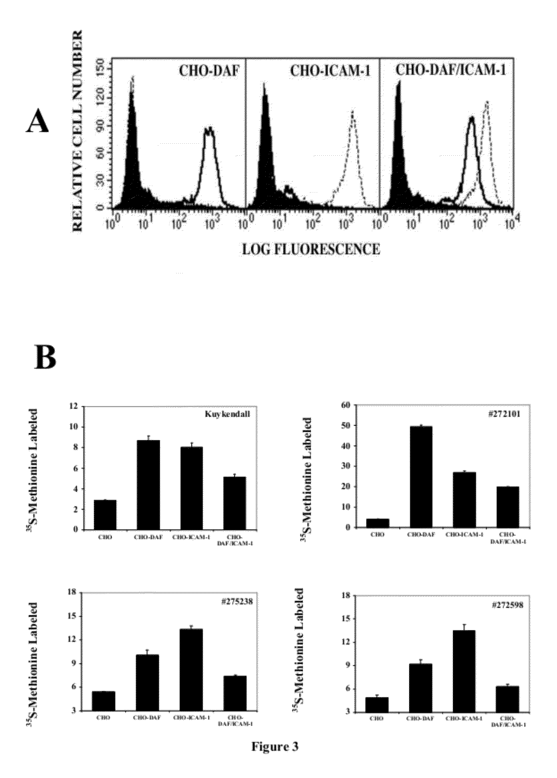 Modified Oncolytic Viruses