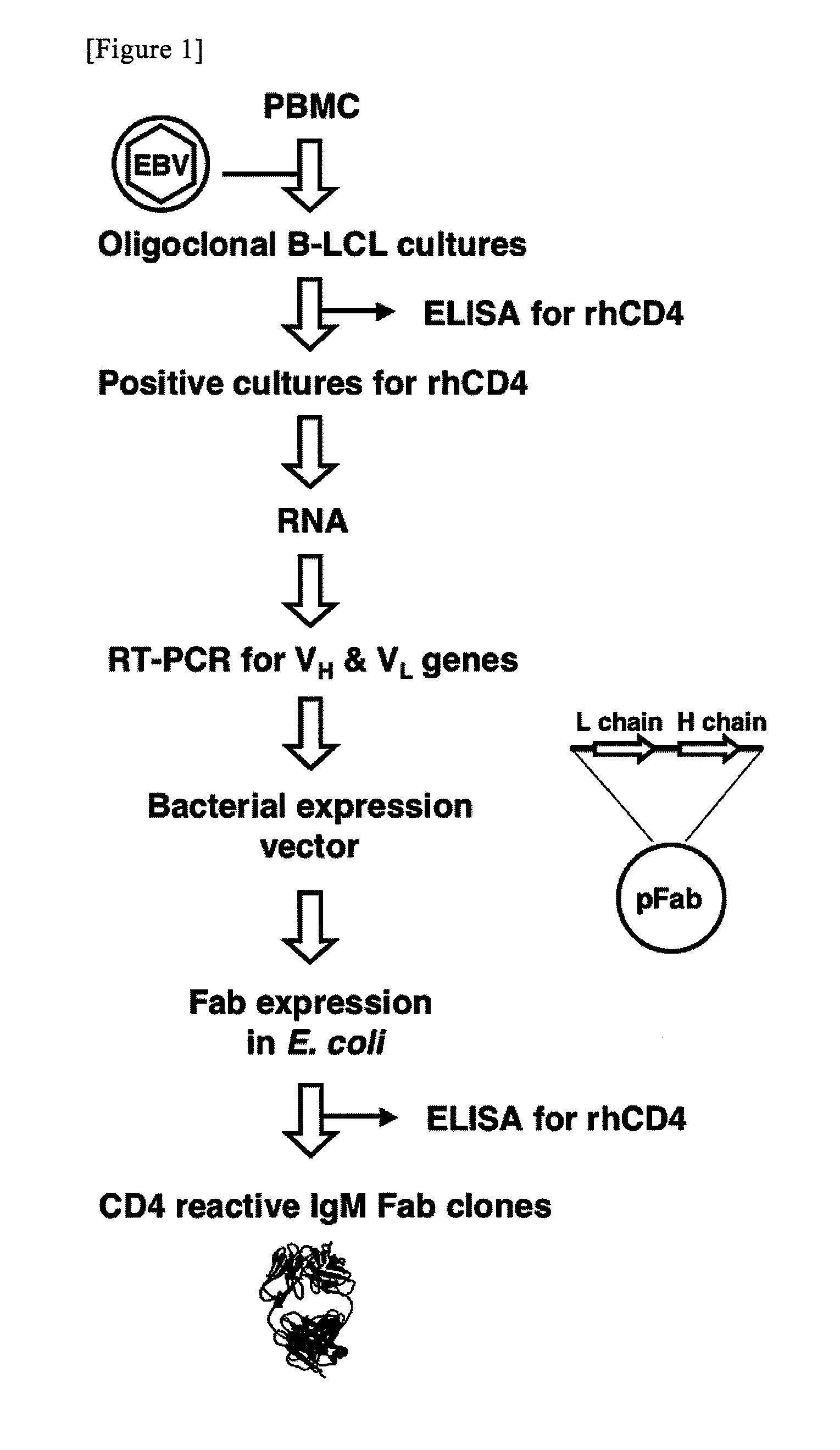 Agent for suppressing replication of HIV and use thereof