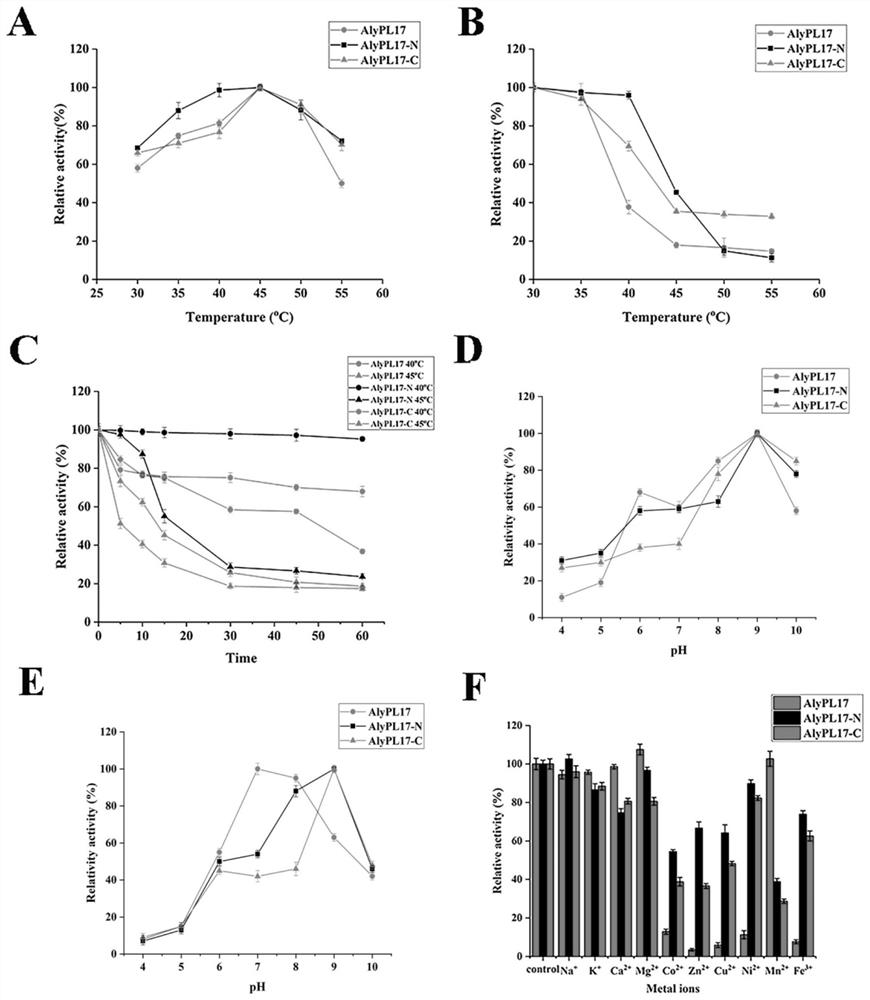 Alginate lyase AlyPL17, truncation and application of alginate lyase AlyPL17 and truncation