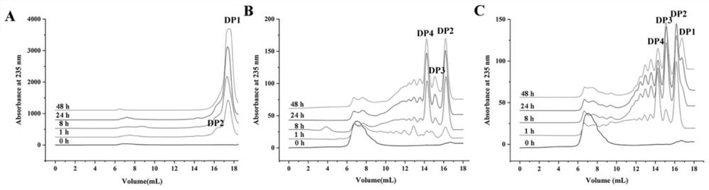 Alginate lyase AlyPL17, truncation and application of alginate lyase AlyPL17 and truncation