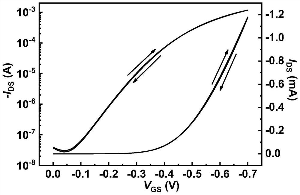 Organic conjugated molecule containing branched ether chain as well as preparation and application of organic conjugated molecule