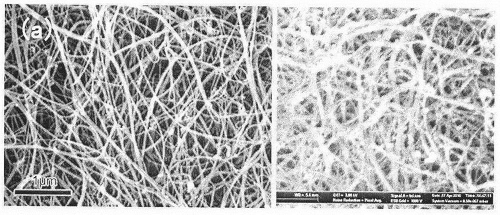 An antimony doped sno  <sub>2</sub> Preparation method of @carbon nanotube composite electrothermal film