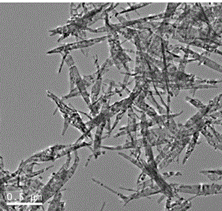 Preparation method of perylene diimide functionalization copper oxide nanocomposite