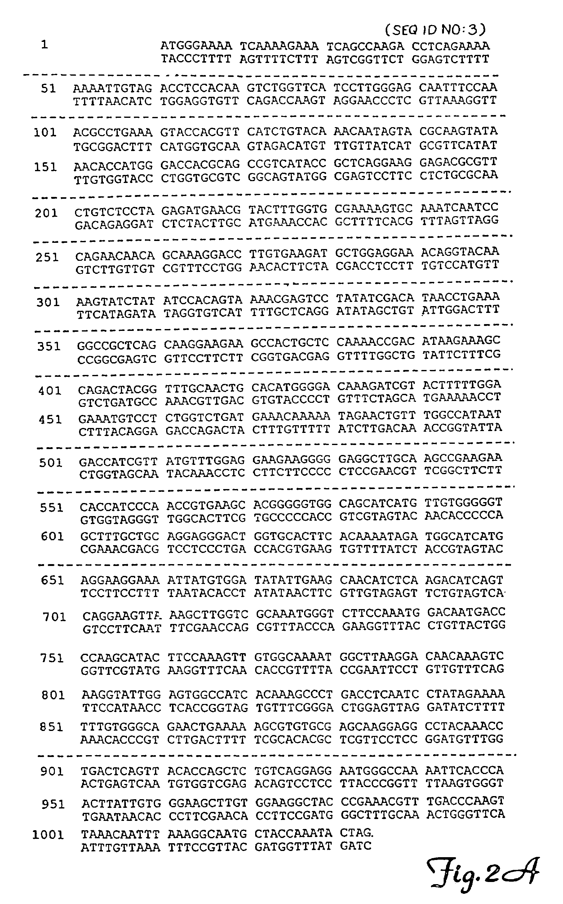Nucleic acid transfer vector for the introduction of nucleic acid into the DNA of a cell
