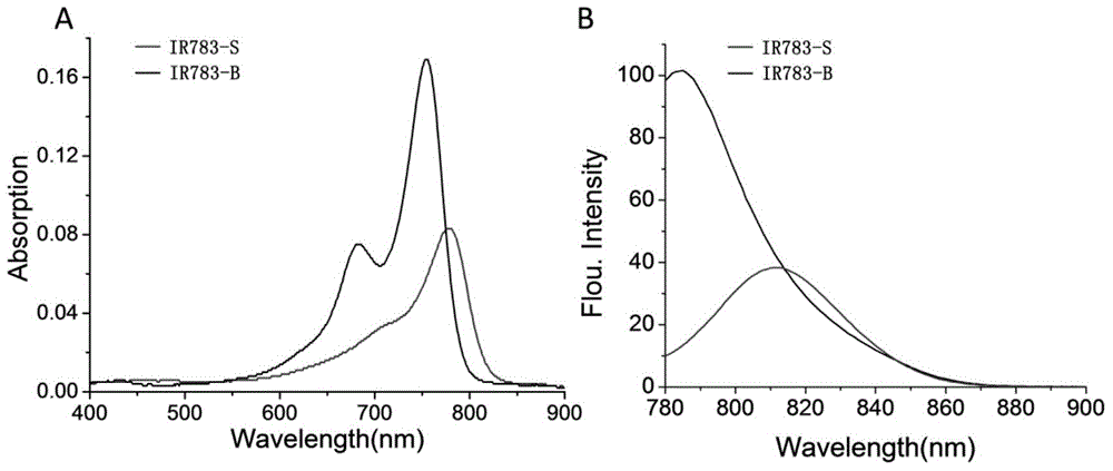 Active near infrared fluorophore as well as preparation method and application thereof