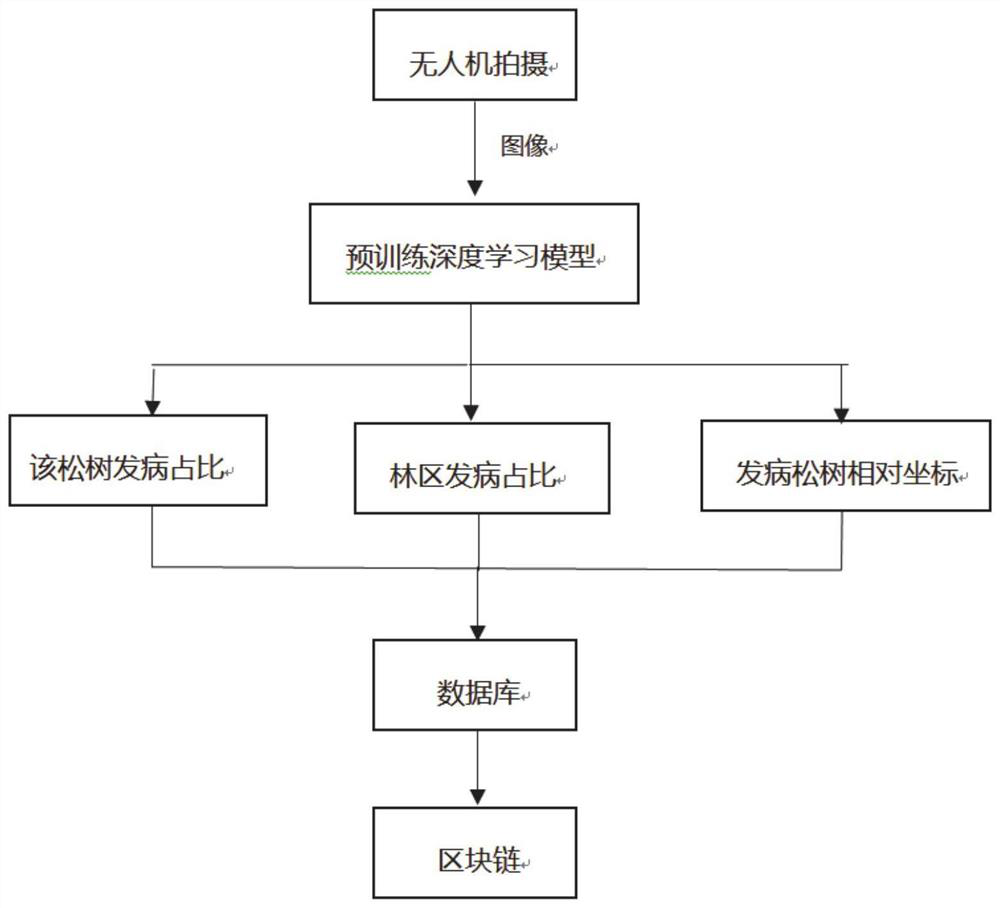 A method and system for precise prevention and control of pine wood nematode disease based on spatio-temporal laws