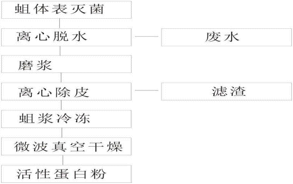 Method for preparing active protein powder with housefly larvae