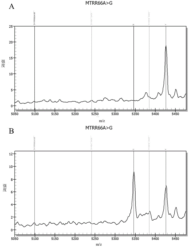 Method for detecting folate metabolism-related gene and kit thereof
