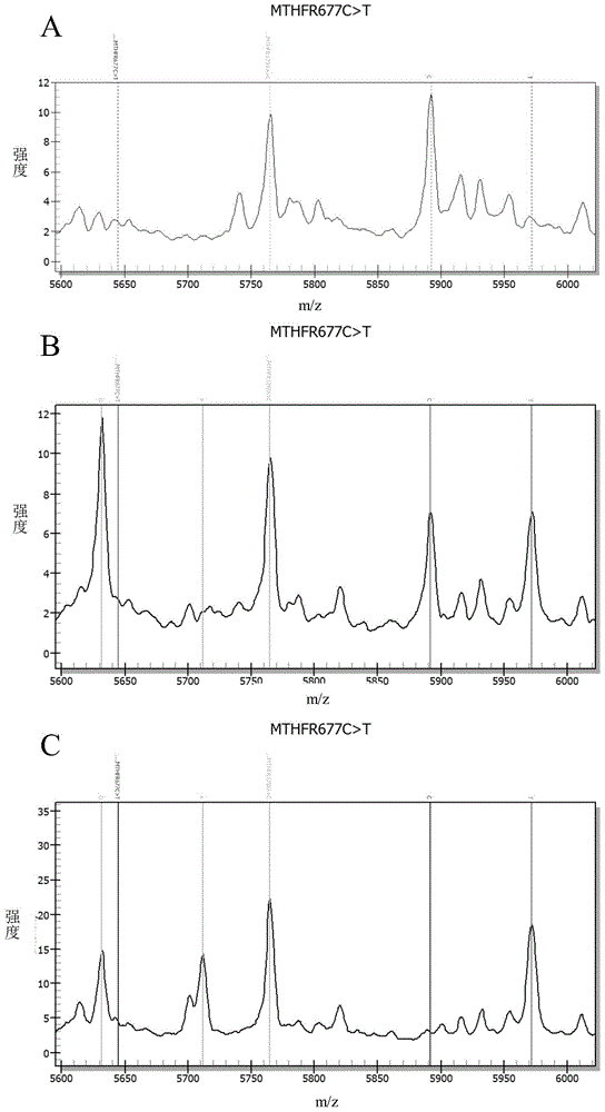 Method for detecting folate metabolism-related gene and kit thereof