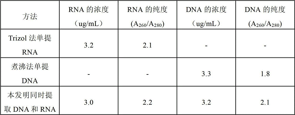 Assay kit and method for simultaneously extracting and purifying ribose nucleic acid (RNA) and deoxyribose nucleic acid (DNA)