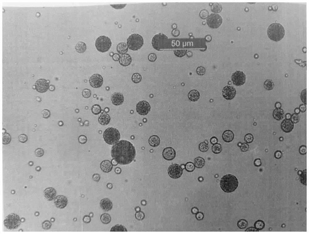 A kind of microsphere preparation method that improves hydrophilic drug encapsulation efficiency